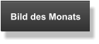 Bild des Monats